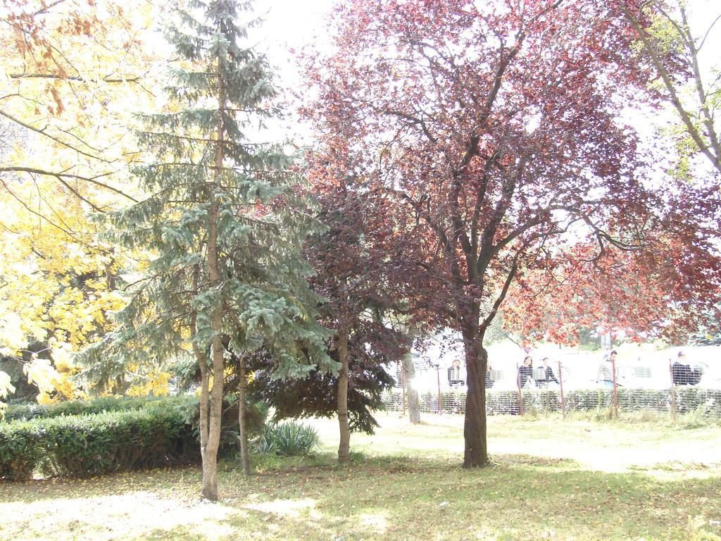 Central City Ap Sibiu Exteriör bild